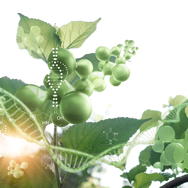 DNA and Nutritional Diagnostics botanical solutions